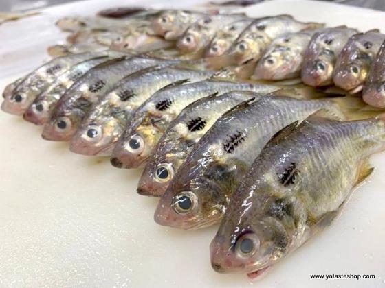 眼鏡伯魚酥用新鮮午仔魚製做